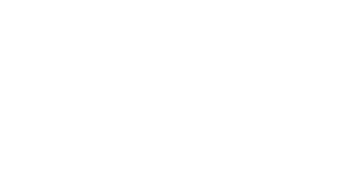 Flywire 3