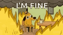 fine this is fine